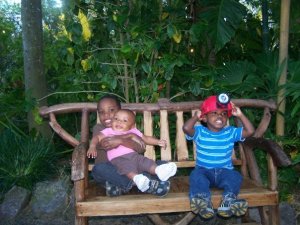 Three young children sitting on a wooden bench surrounded by greenery, smiling at the camera.