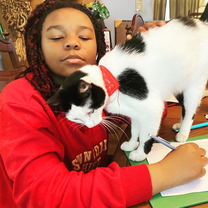 Dear Parents, This is Not&nbsp;Homeschooling