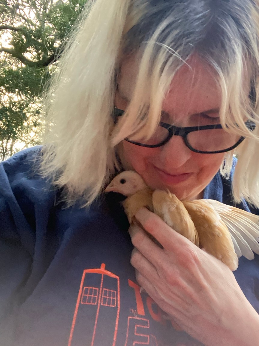 Learning To Care For&nbsp;Chickens