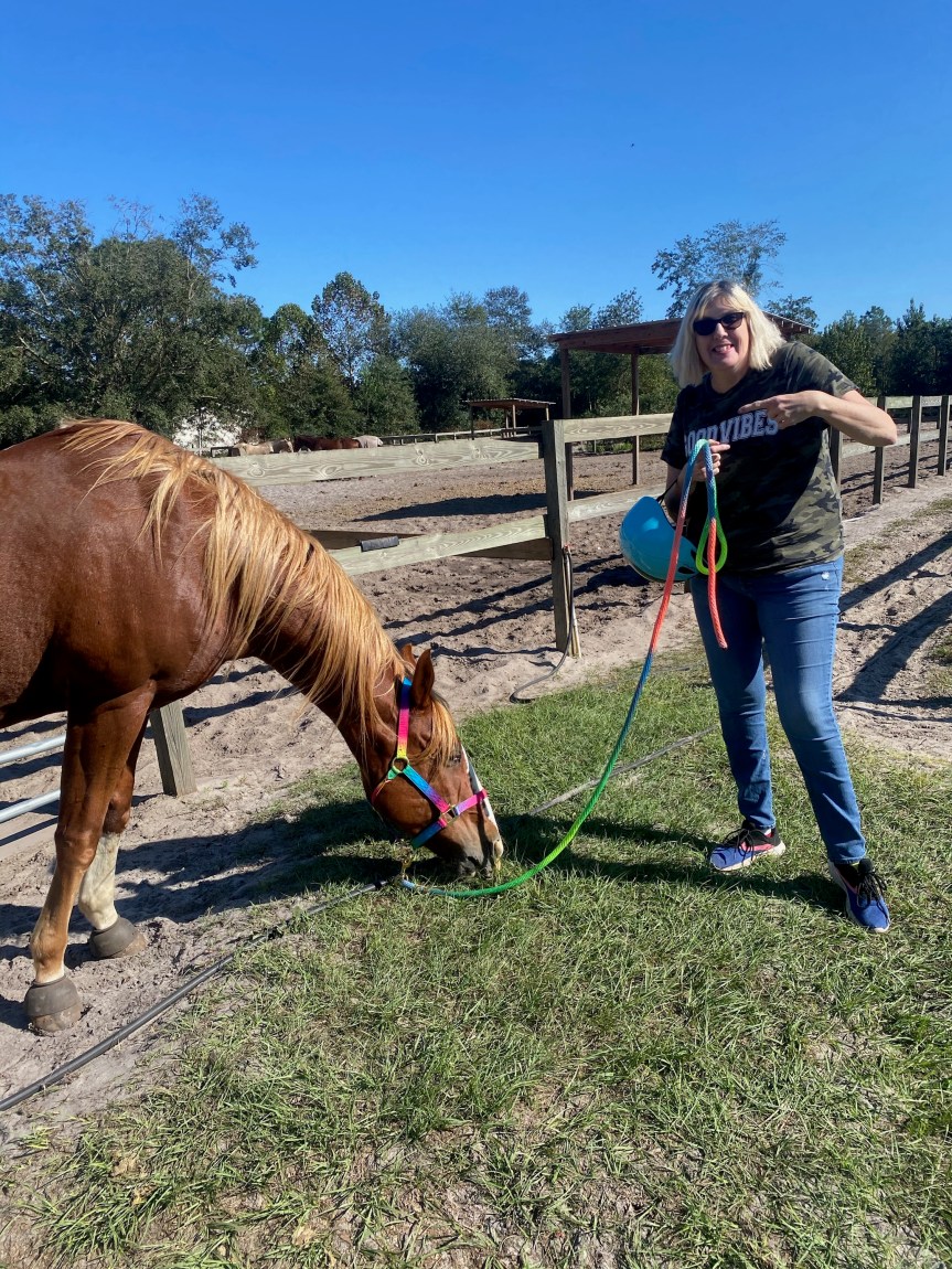 Horseback Riding For&nbsp;Dummies