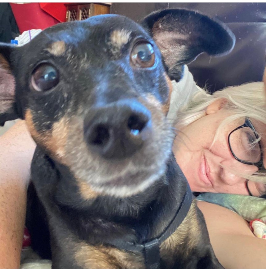 Helping People Through&nbsp;Petsitting