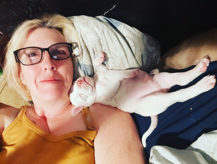 The Time I Accidentally Stole A&nbsp;Dog