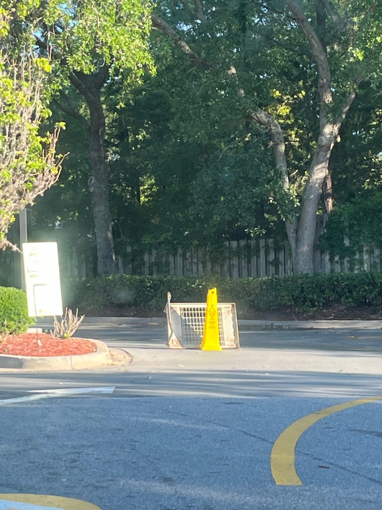 Mcdonald's drive thru