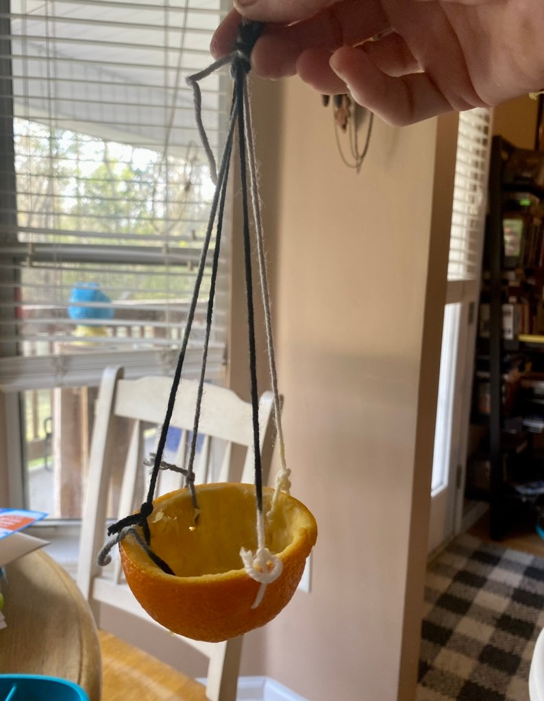 Bird feeder made with yarn and an orange