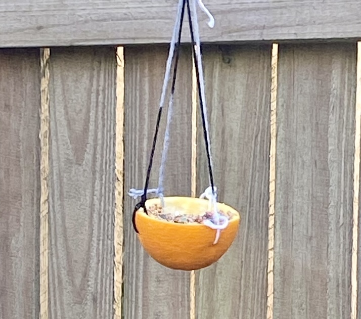 How To Make Bird Feeder Citrus&nbsp;Cups