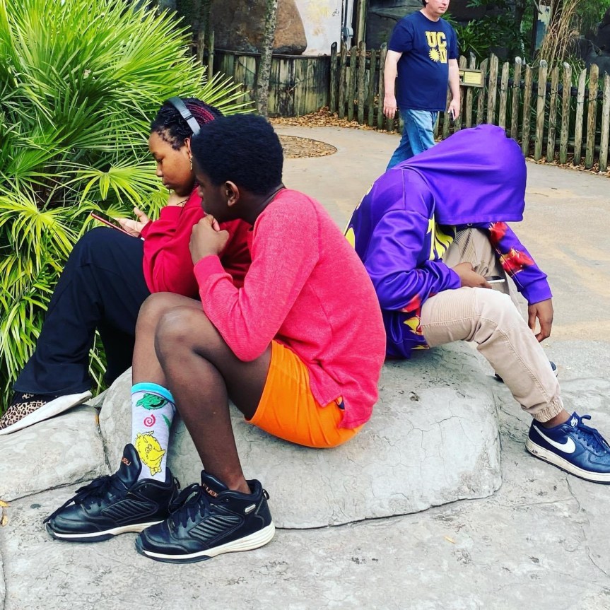 Three teenagers on their phones at the zoo.