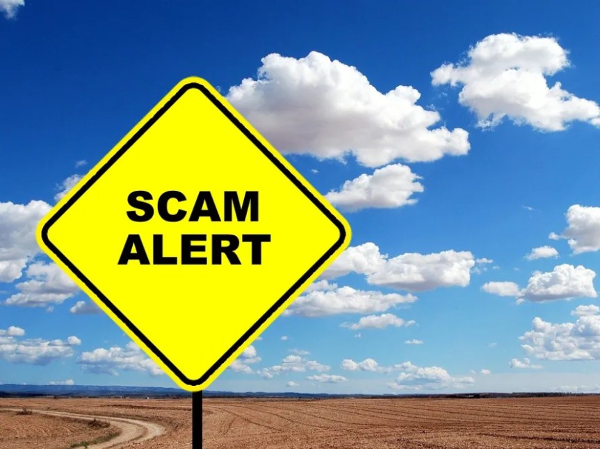 10 Ways to Spot a Scam: From Work-From-Home Schemes to Ambassador&nbsp;Rip-Offs